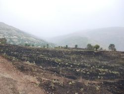 Kuru Otları Yakmak İsterken Az Kalsın Köyü Yakıyordu