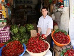 Mardin Kirazı Çiftçinin Yüzünü Güldürdü