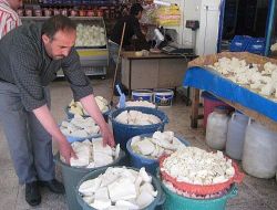 Uzmanlar, Doğu ve Güneydoğu'da Artış Gösteren Brucella Hastalığına Karşı Uyardı!!