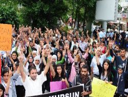 Muğla'da Şerzan Kurt Gerginliği