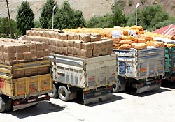 4 Tır Kaçak Çay ve Sigara Ele Geçirildi!