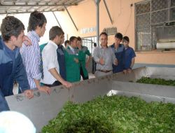 Meslek Lisesinde Kurulan Çay Fabrikası Üretime Başladı