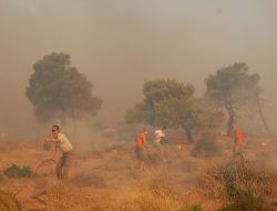Yunan Rahibeler, Atina'daki Yangınla İncil Ve Duayla Müdahale Ediyor