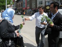 Erzurum'da Vatandaşlara Çam Fidanı Hediyesi