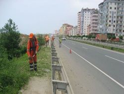 Sahil Yolu Yabancı Otlardan Temizleniyor
