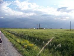 Bayer, Çiftçiler İçin Yaylaya Laboratuvar Kurdu