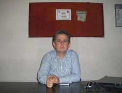 Domates Üreticisi Zararlı Kelebek Tehdidi Altında!