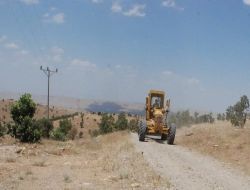 Gercüş'te Toplu Mezar Olduğu İddia Edilen Yer Kazıldı