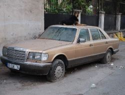 Sokakta Bir 'garip' Koruma