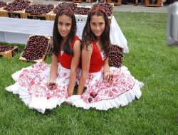 İngiliz Kraliyet Ailesi'nin Vazgeçemediği Yakaören Kirazını Dolu Vurdu, Zarar 2,5 Milyon Lira