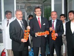 Mersin Milletvekili Tüzmen, Osmaniye'de Suda Yetişen Domates Serasını Gezdi!