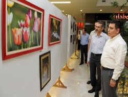 Anfad'ın 'kırmızı' Fotoğraf Sergisi Kepez Belediyesi'nde Sergilenecek