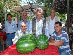 Ceyhan Karpuzu Kabak Tadı Verince Satışlar Düştü