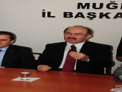 AK Parti Genel Başkan Yardımcısı Çelik, Demokratik Açılımı Halıya Benzetti!