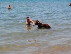 Manavgat'ta Nemli Ve Sıcak Hava Bunaltmaya Başladı