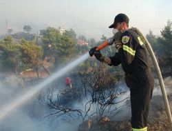 Atina Yangını Kontrol Altında; Sırada Zarar Tespiti Var