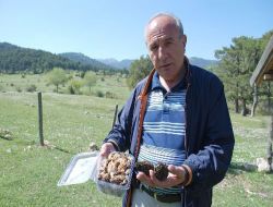 Torosların Kuzugöbeği Avrupa'da Lüks Otellerin Mutfağını Süslüyor