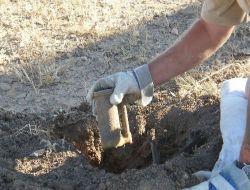 Nusaybin Kaymakamı Gemici: Transit Sınır Kapısı İçin Çalışmalar Sürüyor!..