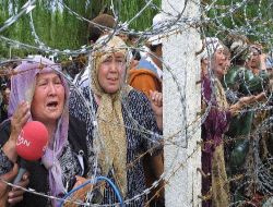 Özbekistan'a Sığınan Mülteci Özbekler Çadır Kampta Yaşam Mücadelesi Veriyor!!