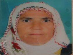 Pompalı Tüfekle Köyü Bastı, Kayınvalidesini Öldürdü, Karısını Zorla Kaçırdı