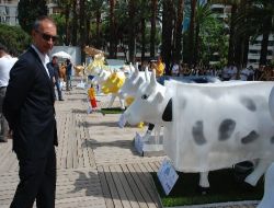İzmir'in Sokaklarını Beş Ay Boyunca İnekler Süsleyecek