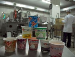 Devlet, Dondurması İle Piyasanın Devlerine Kafa Tutacak