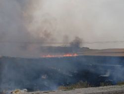 Aşırı Sıcak Tarla Yangınlarını Tetikliyor