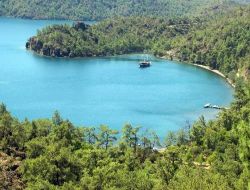 Özel Çevre Koruma Projesiyle Deniz Ve Kıyı Koruma Alanları Yüzde 44 Arttırılacak