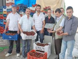 Kiraz Rekoltesi Yüzde 30 Arttı; Uluborlu'da Üreticinin Yüzü Gülüyor!!