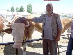 Şarkışlalı Besiciler, Alıcı Bulamamaktan Dertli