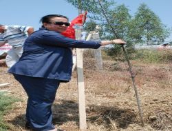 Dünya Türkmenler Birliği, İskenderun Ve Gazze'deki Şehitlerin Hatırasına Fidan Dikti