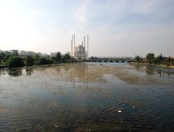 Seyhan Nehri'ndeki Kirlilik Had Safhaya Ulaştı