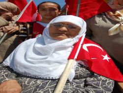 Şehit Ailelerine Sağduyu Çağrısı