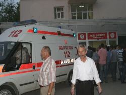 Alkumru Baraj İşçilerini Taşıyan Minibüs Devrildi: 14 Yaralı (2)