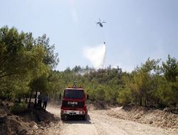 Antalya'da Çıkan Orman Yangını Büyümeden Söndürüldü