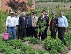 Huzurevi Sakinleri Kendi Bahçesini Oluşturdu