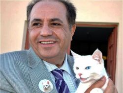 Ankara-van Kedi Polemiği Büyüyor