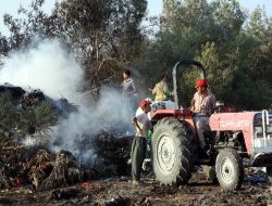 Çöplükten Sıçrayan Alevler 5 Dönümlük Ormanda Yangına Sebep Oldu