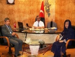 Japon Profesörler Mardin'de