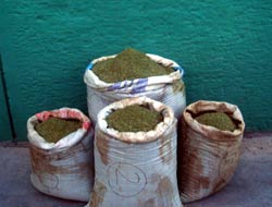 Zehir Tacirlerine Operasyon