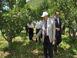 Isparta'da Etkili Olan Dolunun Zararı Yaklaşık 22 Milyon Lira