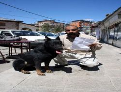 Ağız Maskesi Olmadan Köpek Gezdiren Vatandaşa Para Cezası