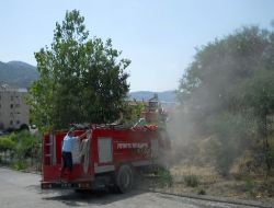 Patates Közlerken Az Daha Ormanı Yakıyorlardı