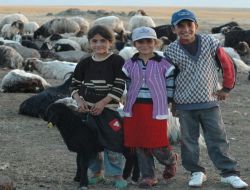Bitlis'te Kışın Öğrenci, Yazın Çoban Çocuklar