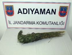 Adıyaman'da Esrar Operasyonu