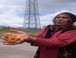 Baz İstasyonunun Kalkması İçin Dua Ettiler