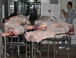 Üniversite Hastanesinden Bir Tona Yakın Et Çalan Hırsızlara Suçüstü