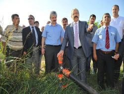 Fıstık Tarlasına İlk Su, Vali Cerrah Tarafından Verildi