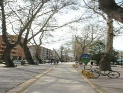 Yalova Sahili 2010'da Daha Da Güzelleşecek