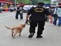 Bomba Dedektör Köpeği Çilek, Kırkpınar Tribünlerinde Bomba Aradı!